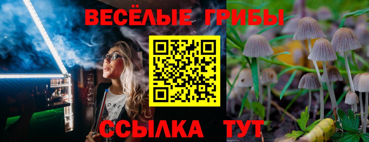 Псилоцибиновые грибы мухоморы Протвино
